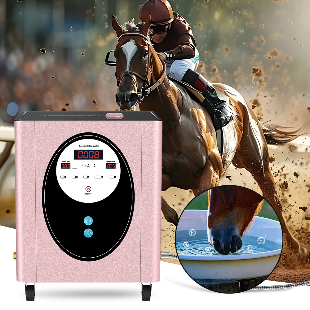Health Wellness Spa - SUYZEKO Wasserstoff-Wassermaschine für das ganze Haus,