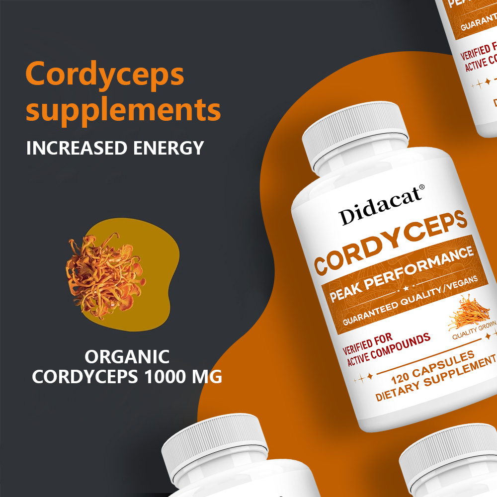 Cordyceps-Pilz-Kapseln 1000mg, – Health Wellness & Psychology Bewertung und Preis